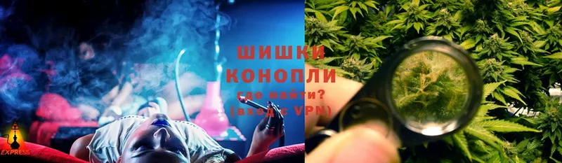 Марихуана SATIVA & INDICA  МЕГА tor  Касли 